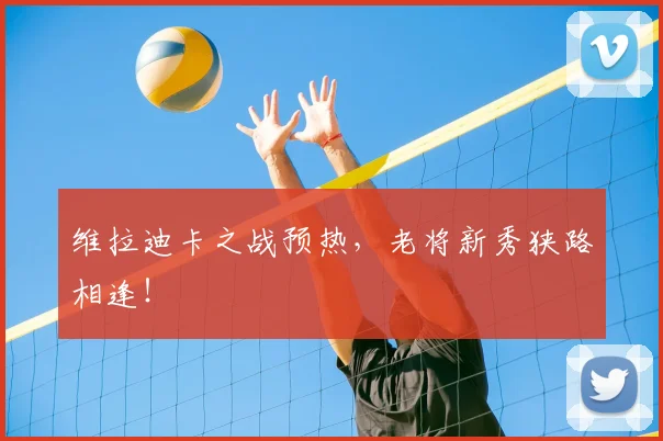 维拉迪卡之战预热，老将新秀狭路相逢！
